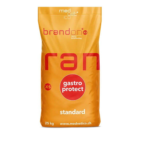 St.Hippolyt Brandon xs