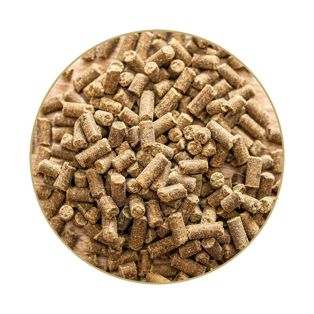 St.Hippolyt Magnesium B12