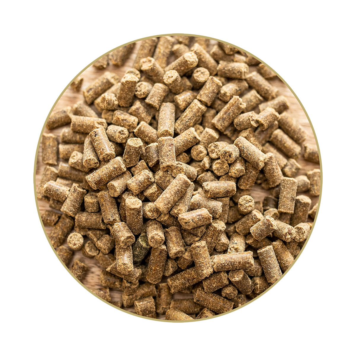 St.Hippolyt Magnesium B12