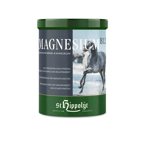St.Hippolyt Magnesium B12
