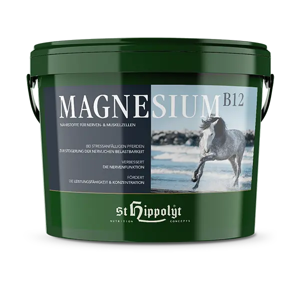 St.Hippolyt Magnesium B12