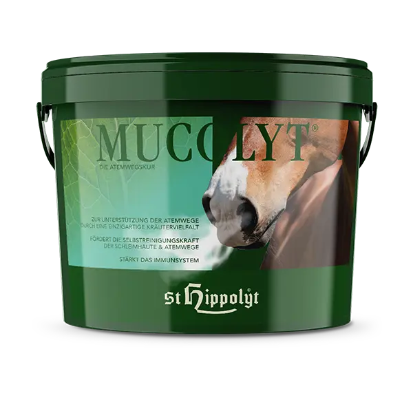 St. Hippolyt Mucolyt  Atemwegskur