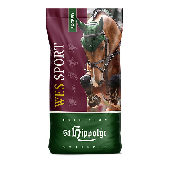 St.Hippolyt WES Sport Exceed